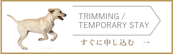 すぐに申し込む