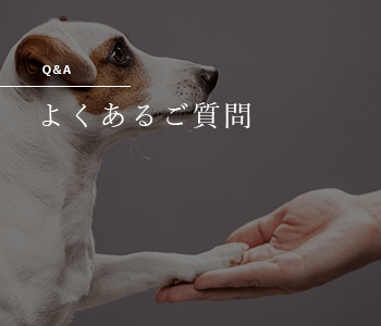 よくあるご質問