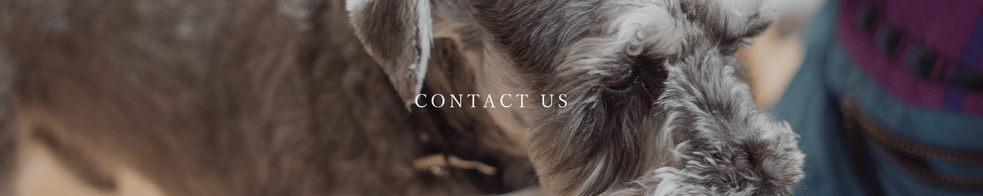 contact