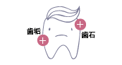 歯磨き順番