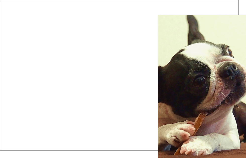 一時預かり