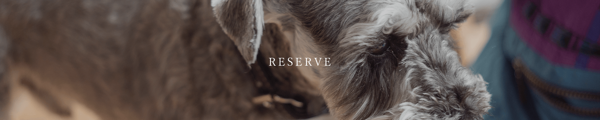 reserve