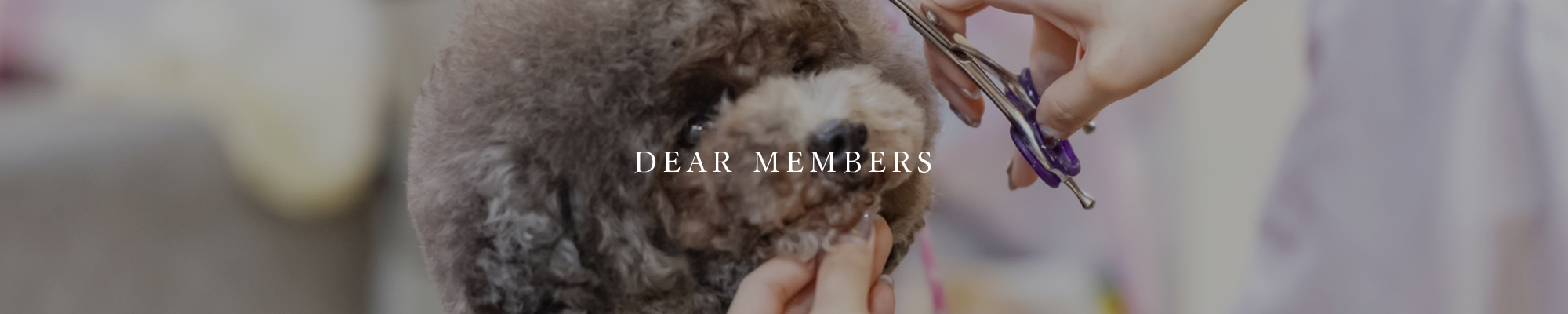 DEAR MEMBERS