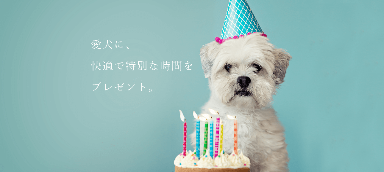 犬の日本橋倶楽部