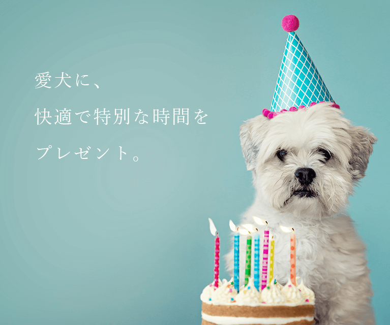 犬の日本橋倶楽部
