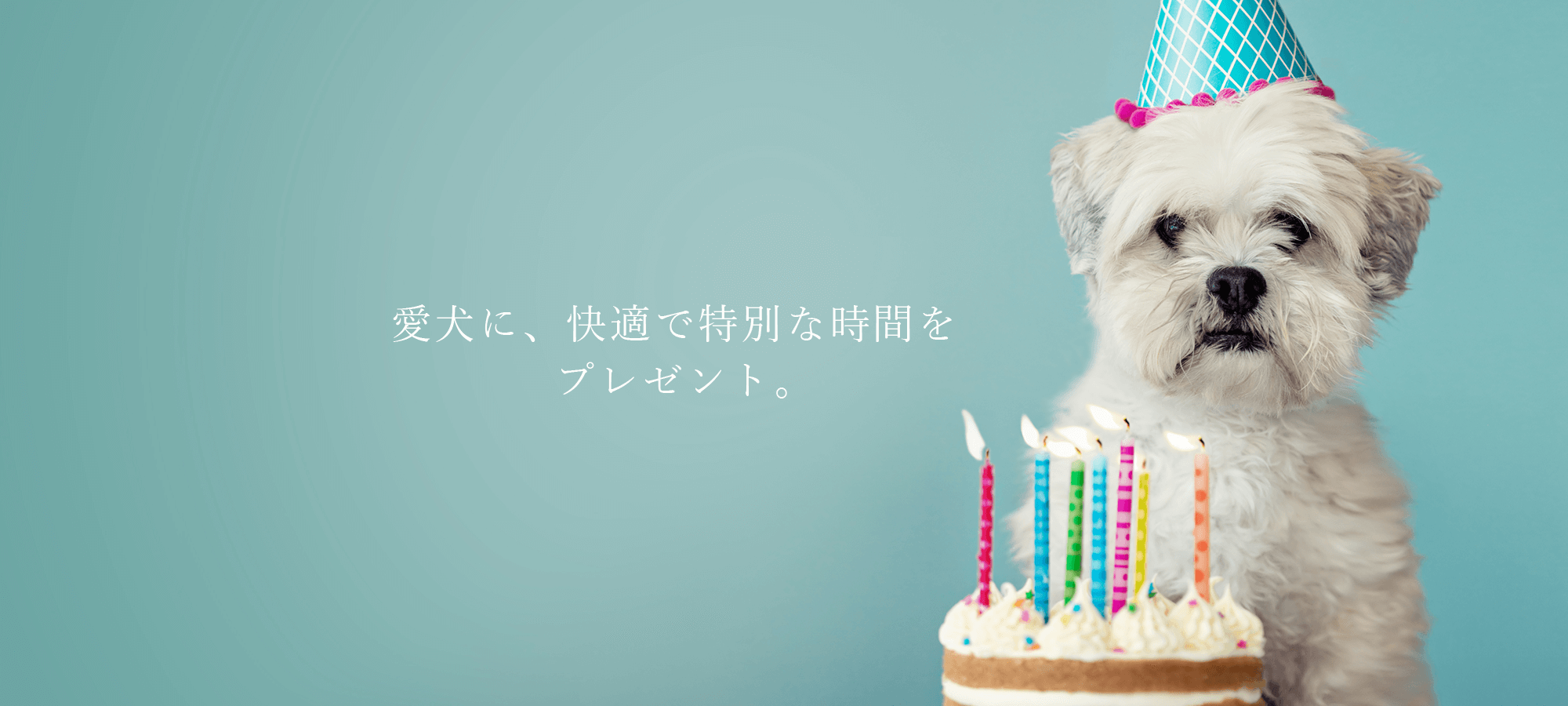 犬の日本橋倶楽部