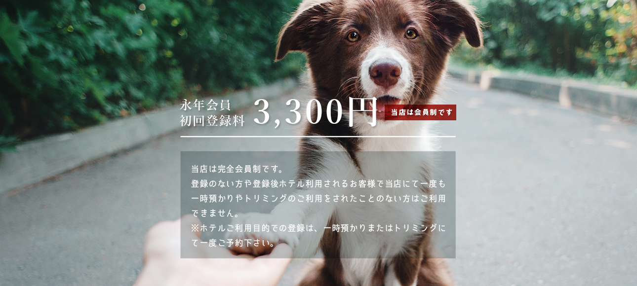 ドッグサロン日本橋倶楽部